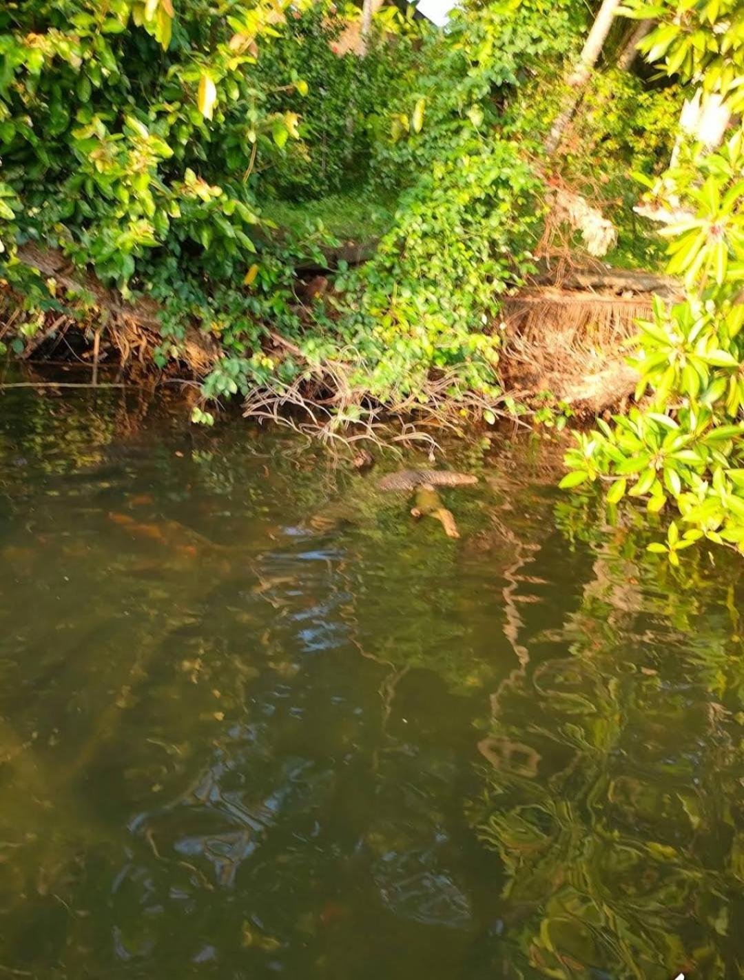 Villa Chaya Hikkaduwa Exteriör bild